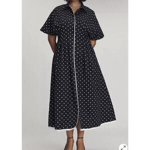 Anthropologie The Tobie Shirt Dress by Exquise